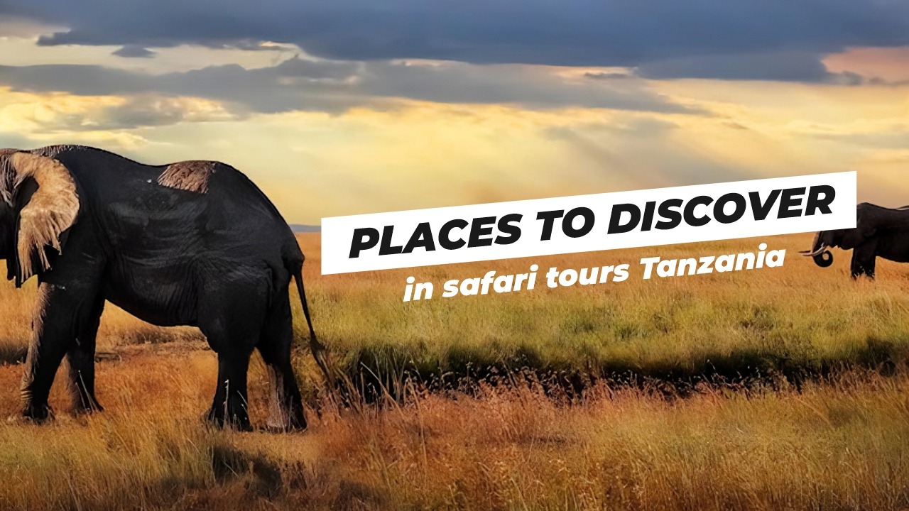 safari tours Tanzania 