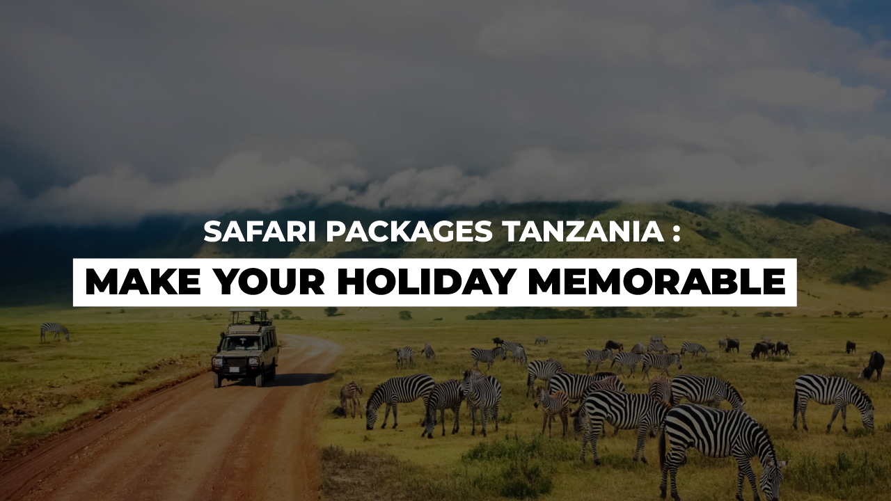 kenya safari tour packages