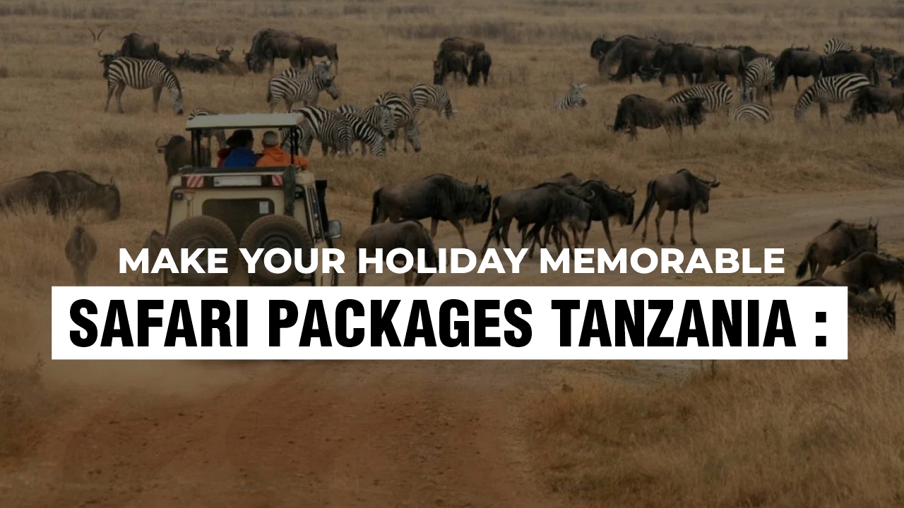 safari packages tanzania