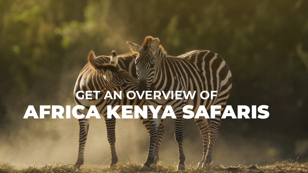 Africa Kenya Safaris