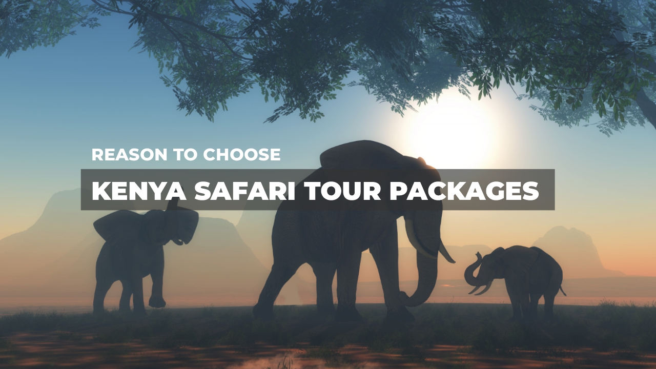 Kenya safari tour 