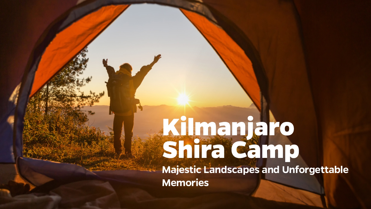 Kilimanjaro trekking