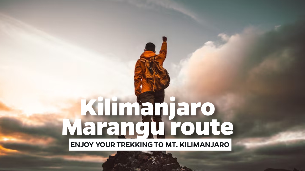 Kilimanjaro Marangu route