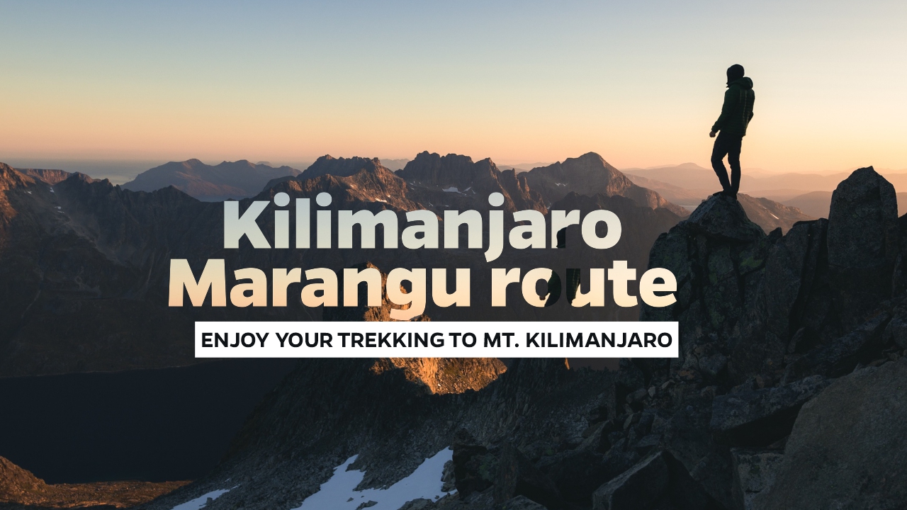 5 days Marangu route