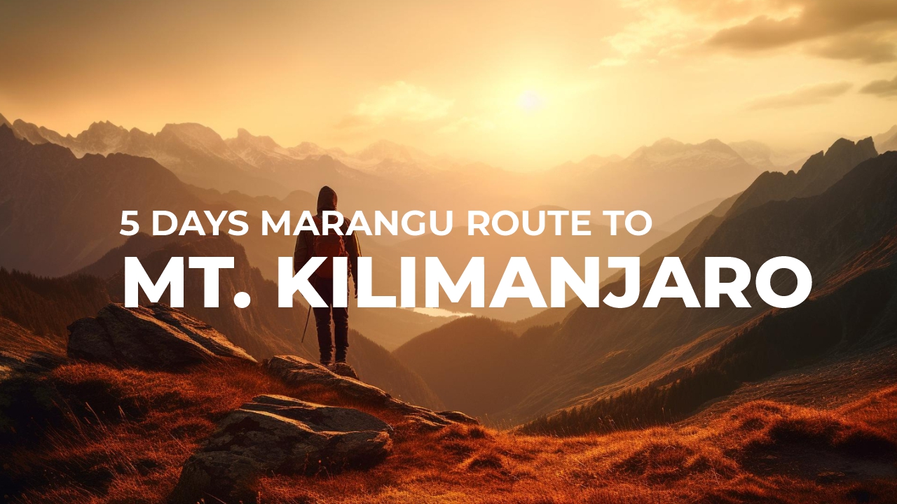 5 days Marangu route