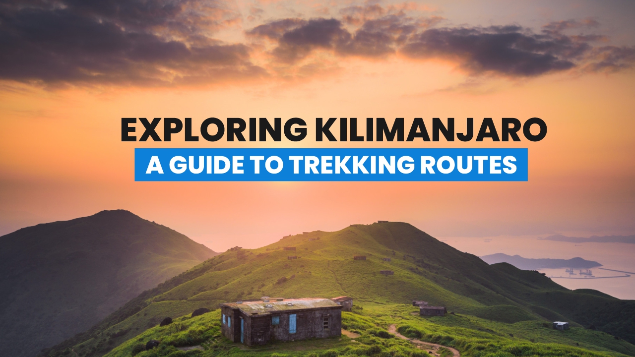 Kilimanjaro