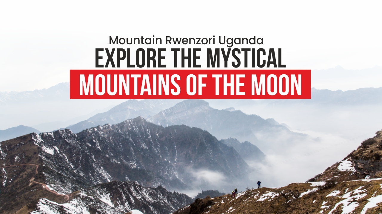 Mountain Rwenzori Uganda