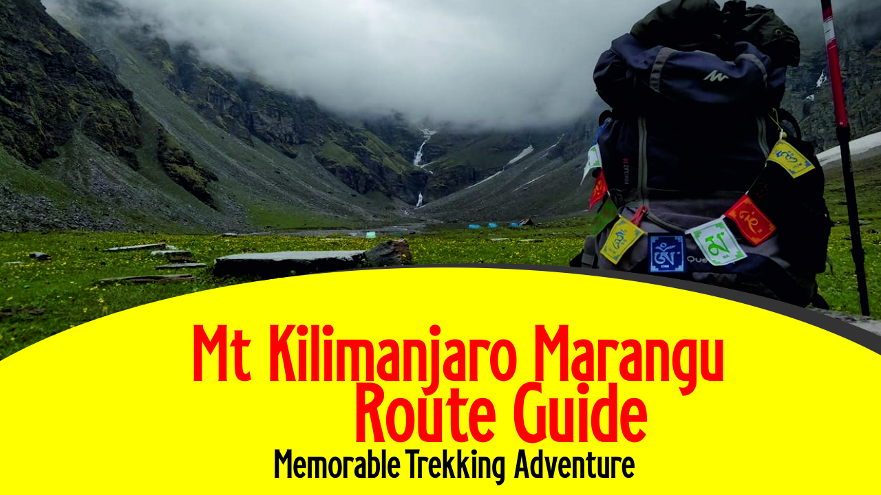 mt kilimanjaro marangu route