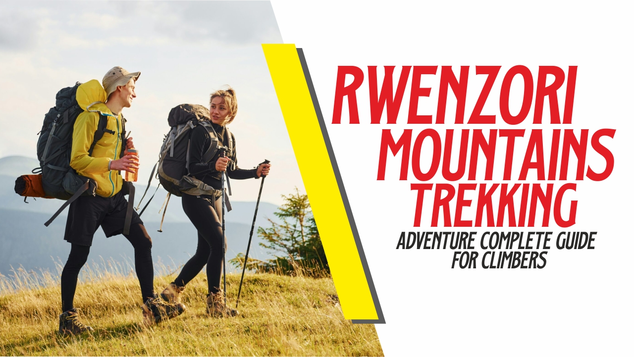 Rwenzori Mountains trekking