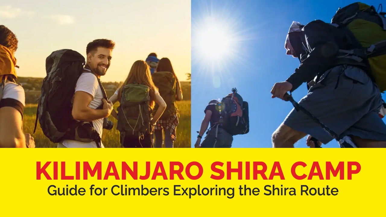 Kilimanjaro shira camp