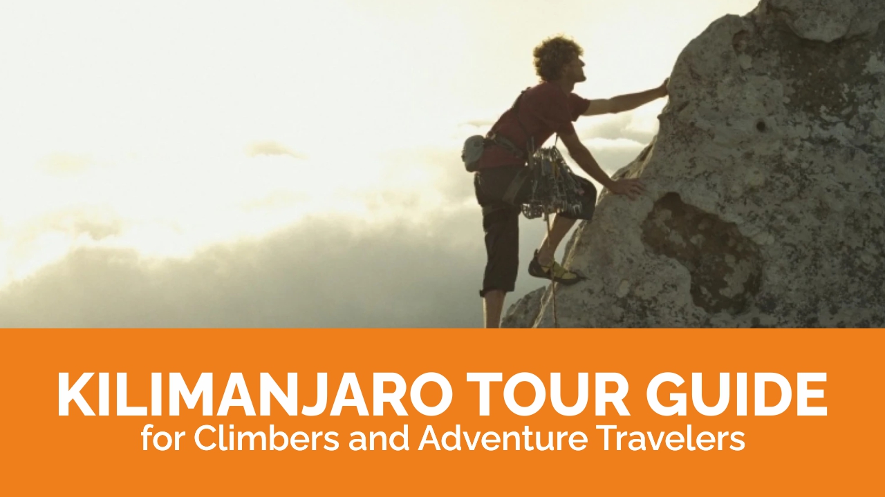 Best Kilimanjaro Tour Guide