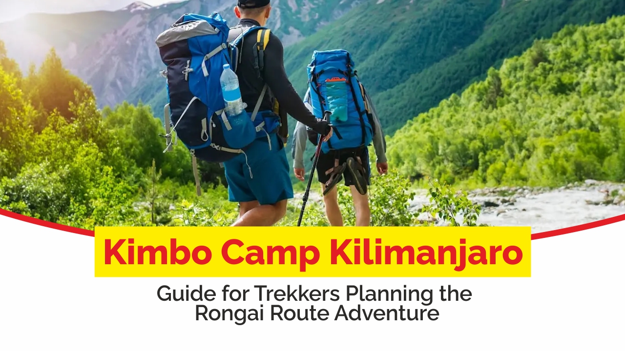 kimbo camp kilimanjaro